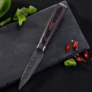 3.5 inch Paring Knife Japan Fruit Kitchen Knives Damascus Steel Blade Peeler Fruit Vegetable Cutting Meat Cooking Knife