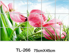 Load image into Gallery viewer, Zs Sticker Kitchen aluminum foil waterproof decorative tile stickers home decor kitchen accessories wall stickers